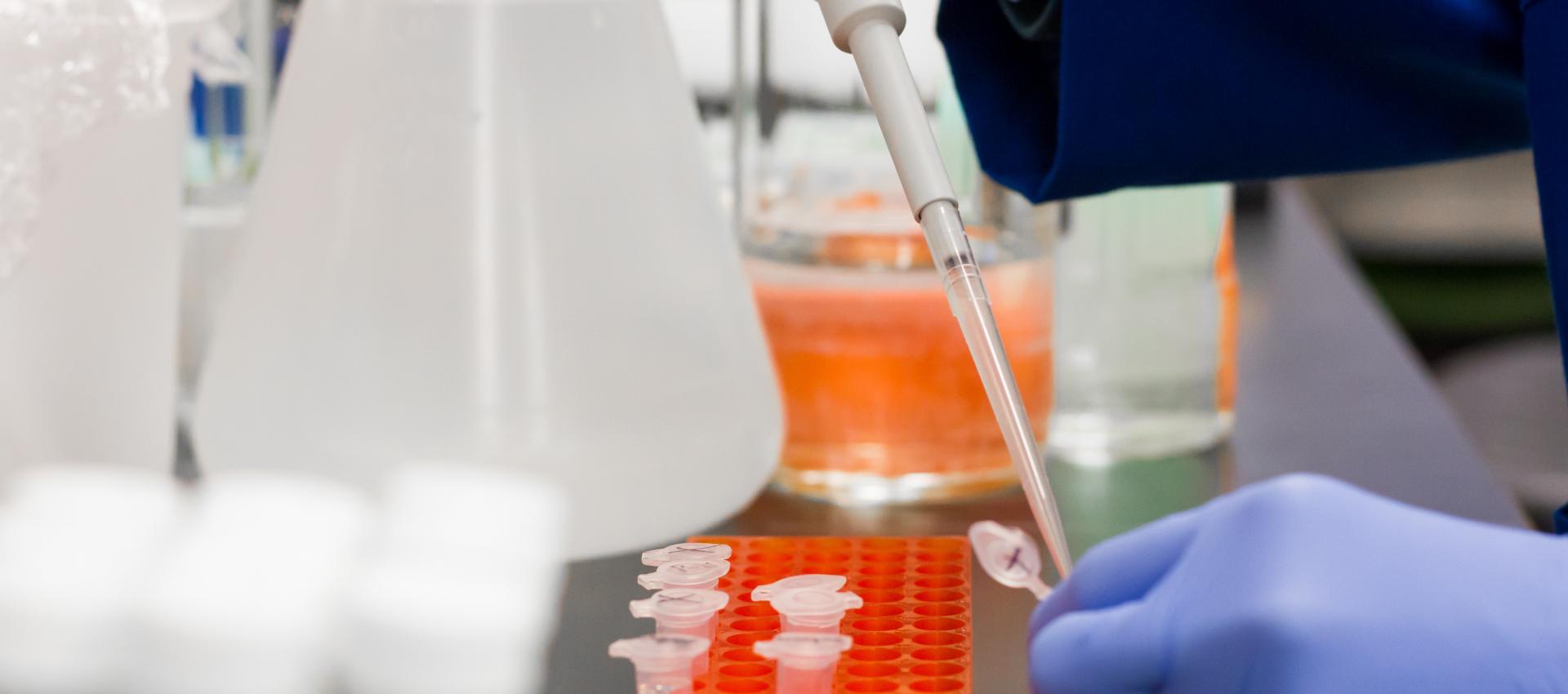 Close-up of hands of technician working in lab