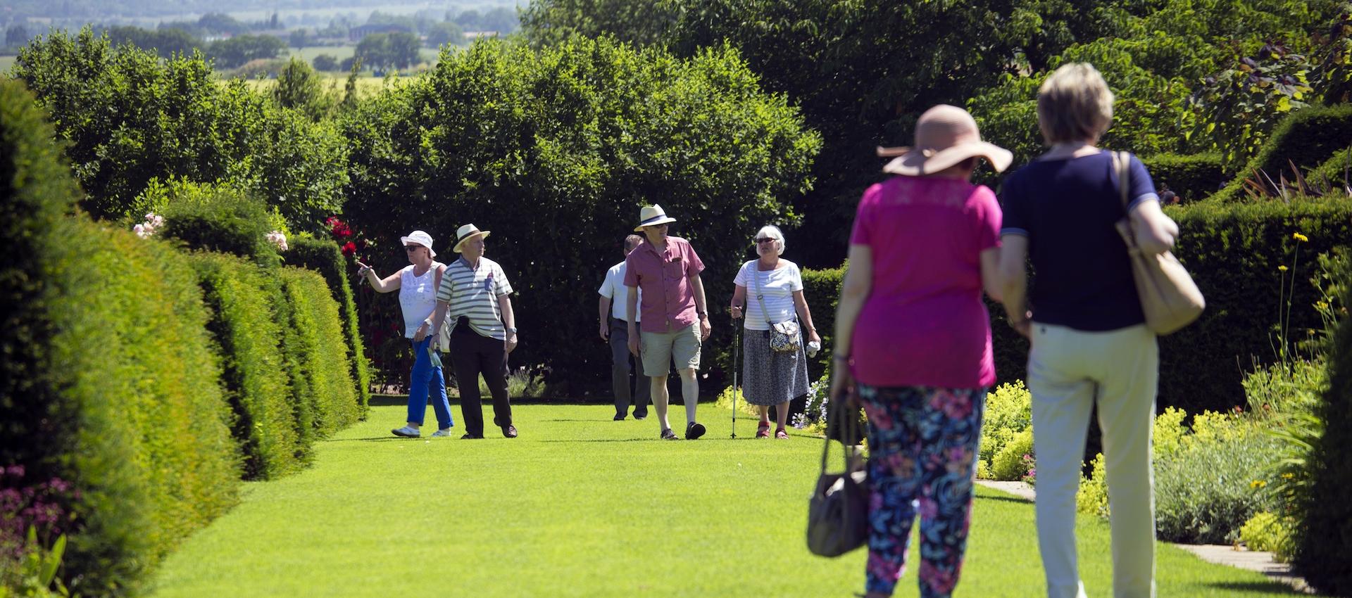 People walking on green lawn